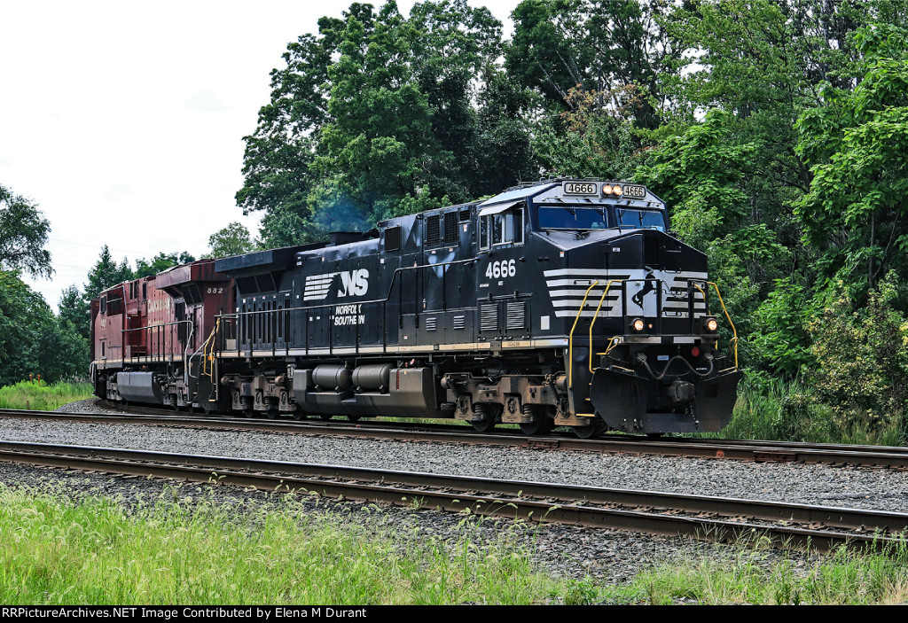 NS 4666 and CP 8821